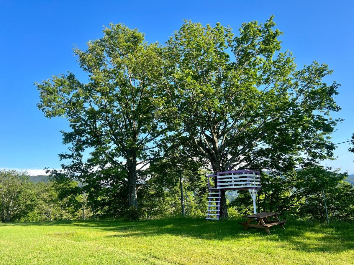 Agriturismo Il Serrino San Marcello Pistoiese Εξωτερικό φωτογραφία