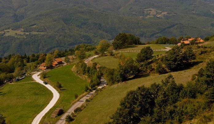 Agriturismo Il Serrino San Marcello Pistoiese Εξωτερικό φωτογραφία